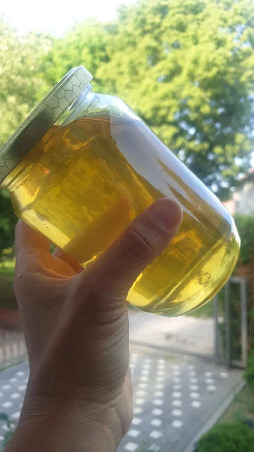 Akazien Honihpur von HHK Hanseatic Honey Accounting GmbH