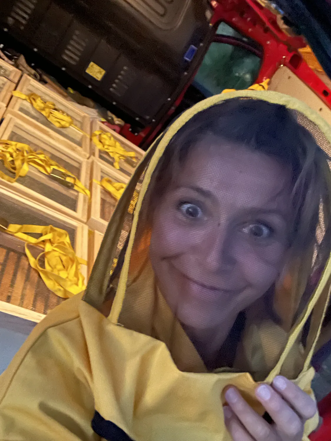 Bienenumzug Eva Naboschni  von HHK Hanseatic Honey Accounting GmbH