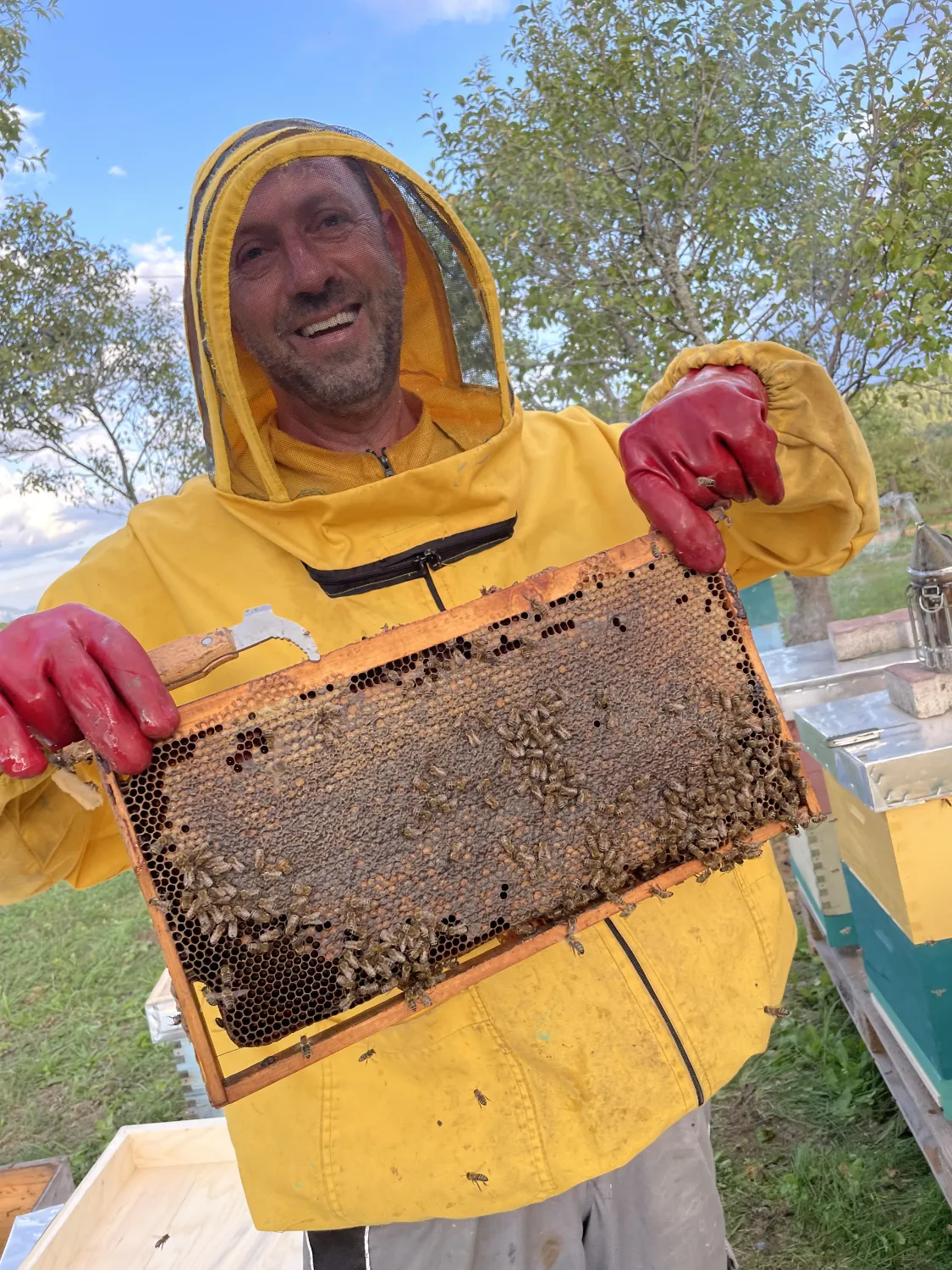 Nachwuchsimker Profi von HHK Hanseatic Honey Accounting GmbH