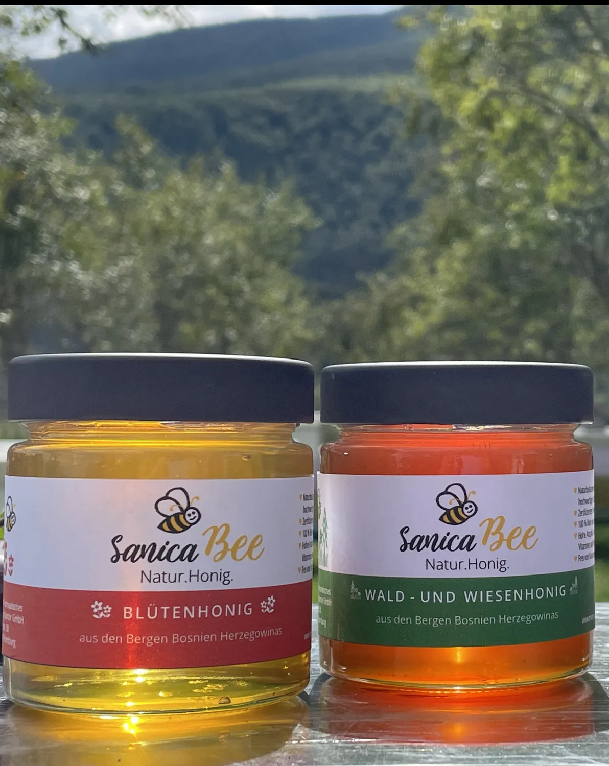 Projekt Sanica Honig bienen  von HHK Hanseatic Honey Accounting GmbH