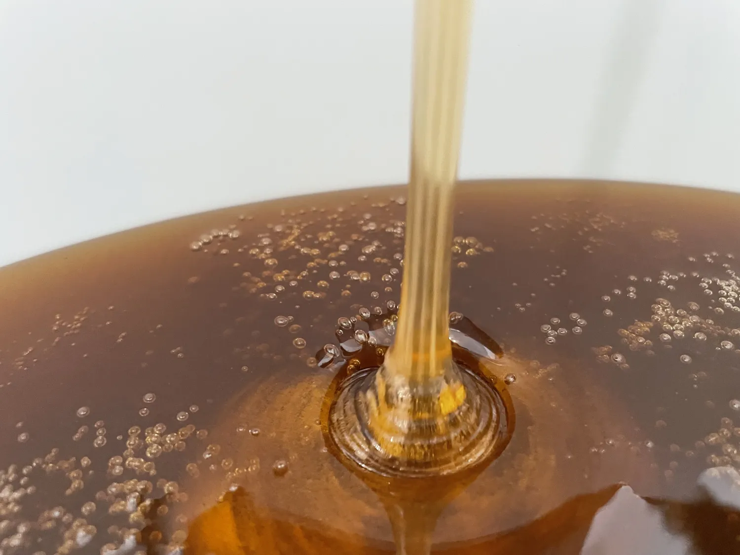 Honiggold von HHK Hanseatic Honey Accounting GmbH