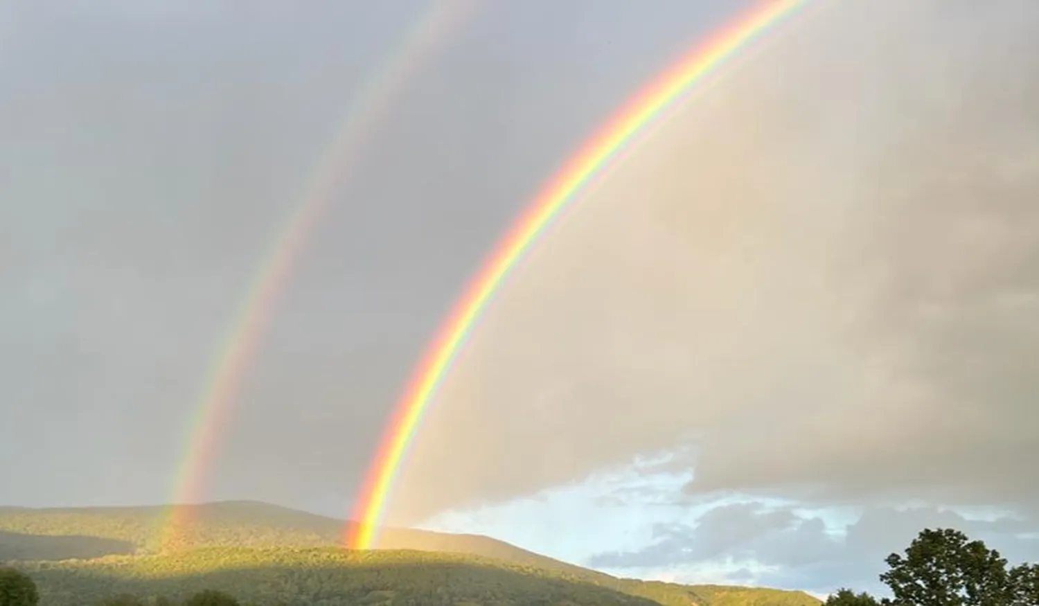 Regenbogenbei den Bienen von HHK Hanseatic Honey Accounting GmbH