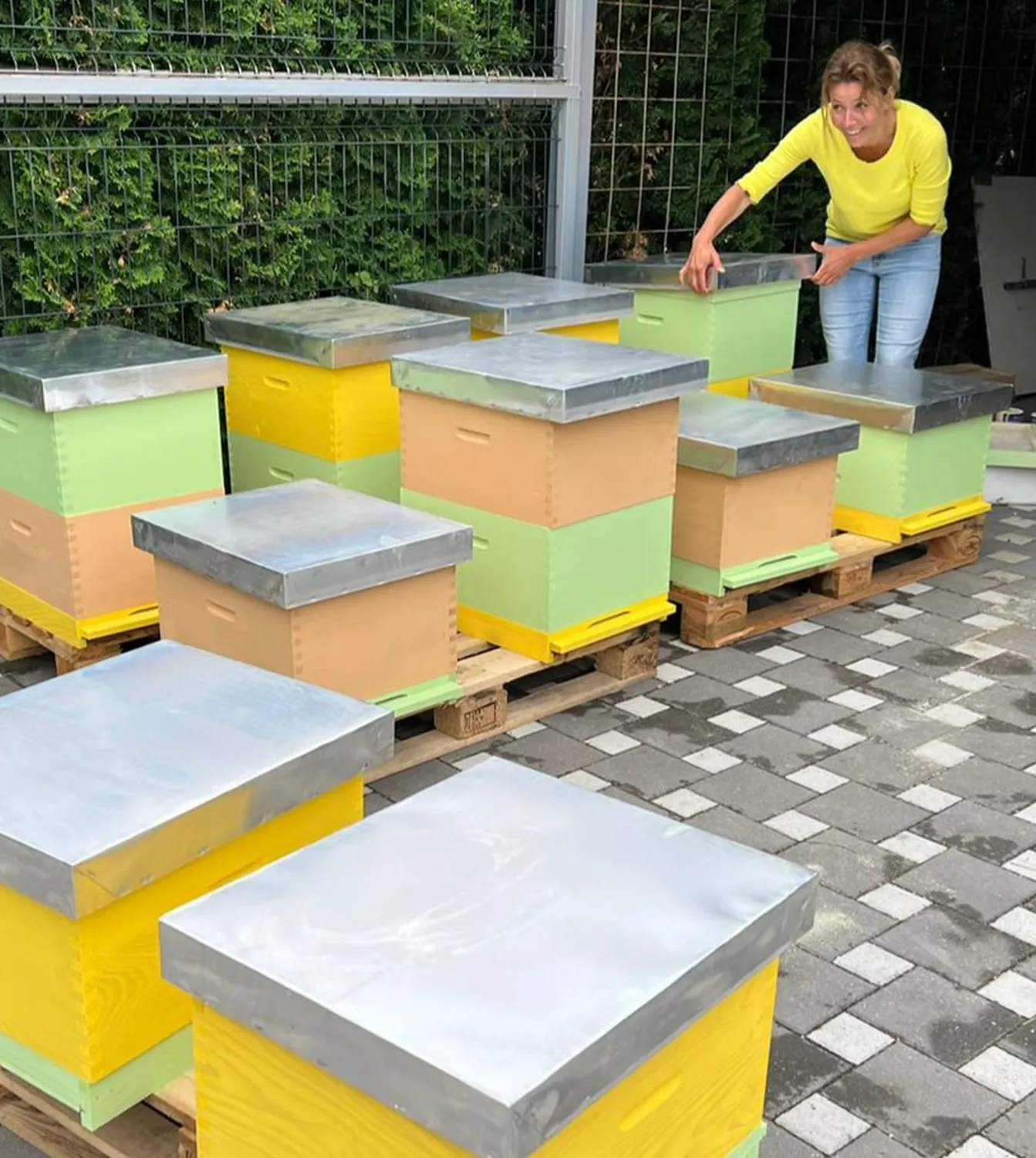 Sanduk Für Die Bienen von HHK Hanseatic Honey Accounting GmbH