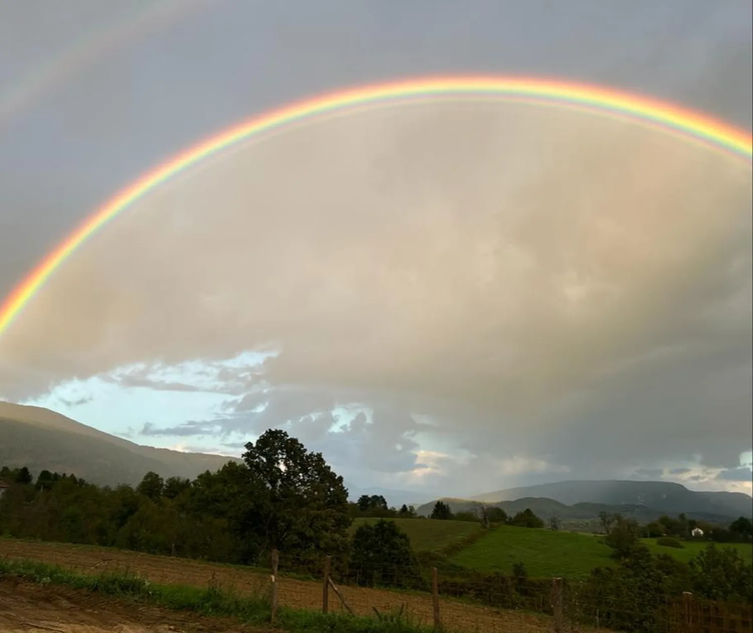 Regenbogenbei den Bienen von HHK Hanseatic Honey Accounting GmbH