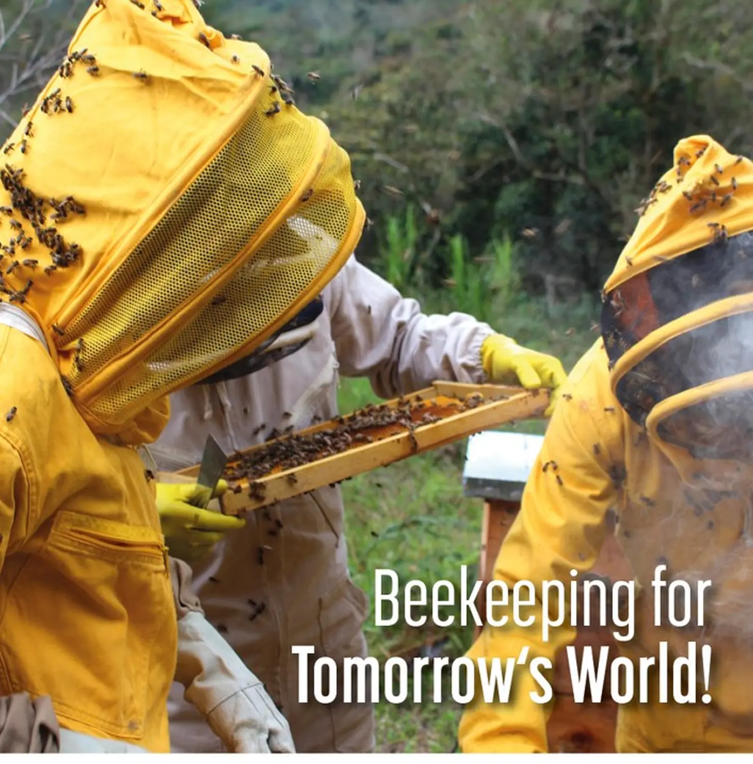 Projekte estland von HHK Hanseatic Honey Accounting GmbH