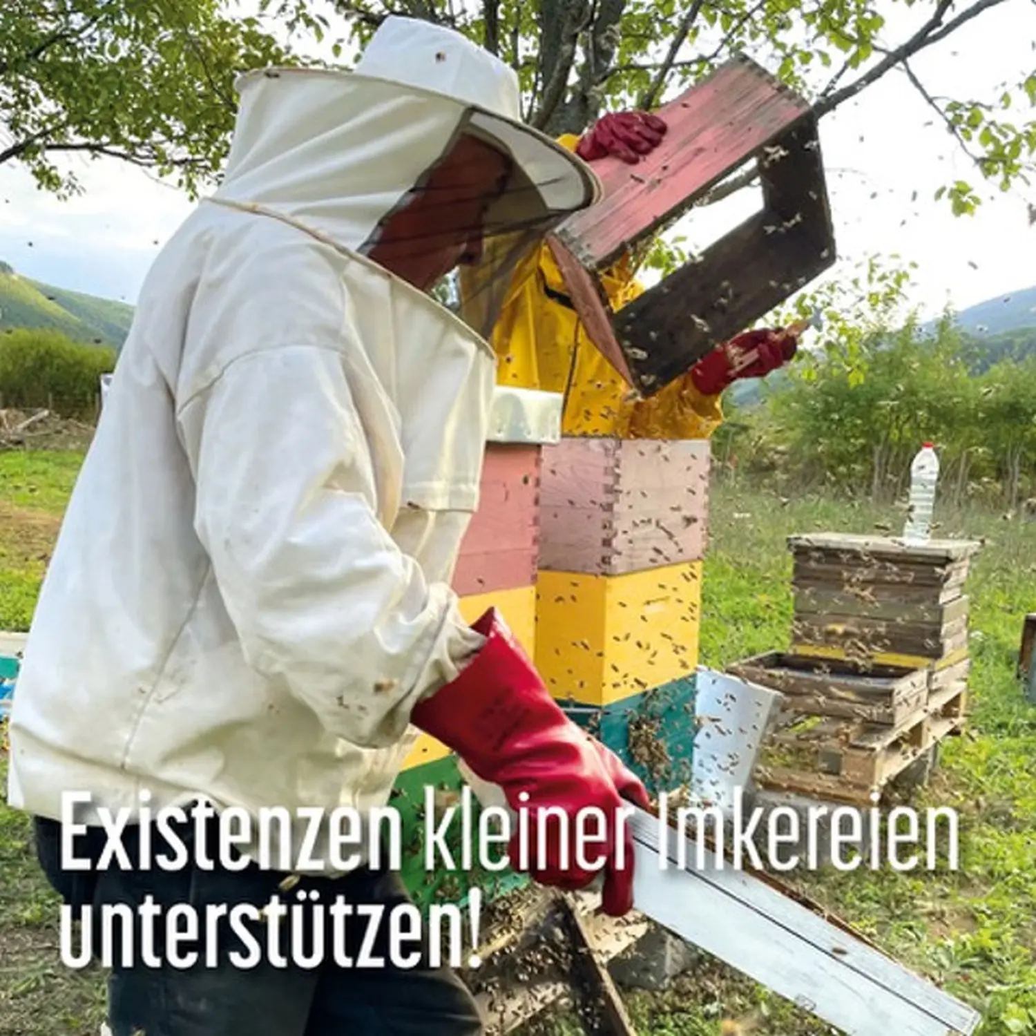 Projekte Lettland von HHK Hanseatic Honey Accounting GmbH