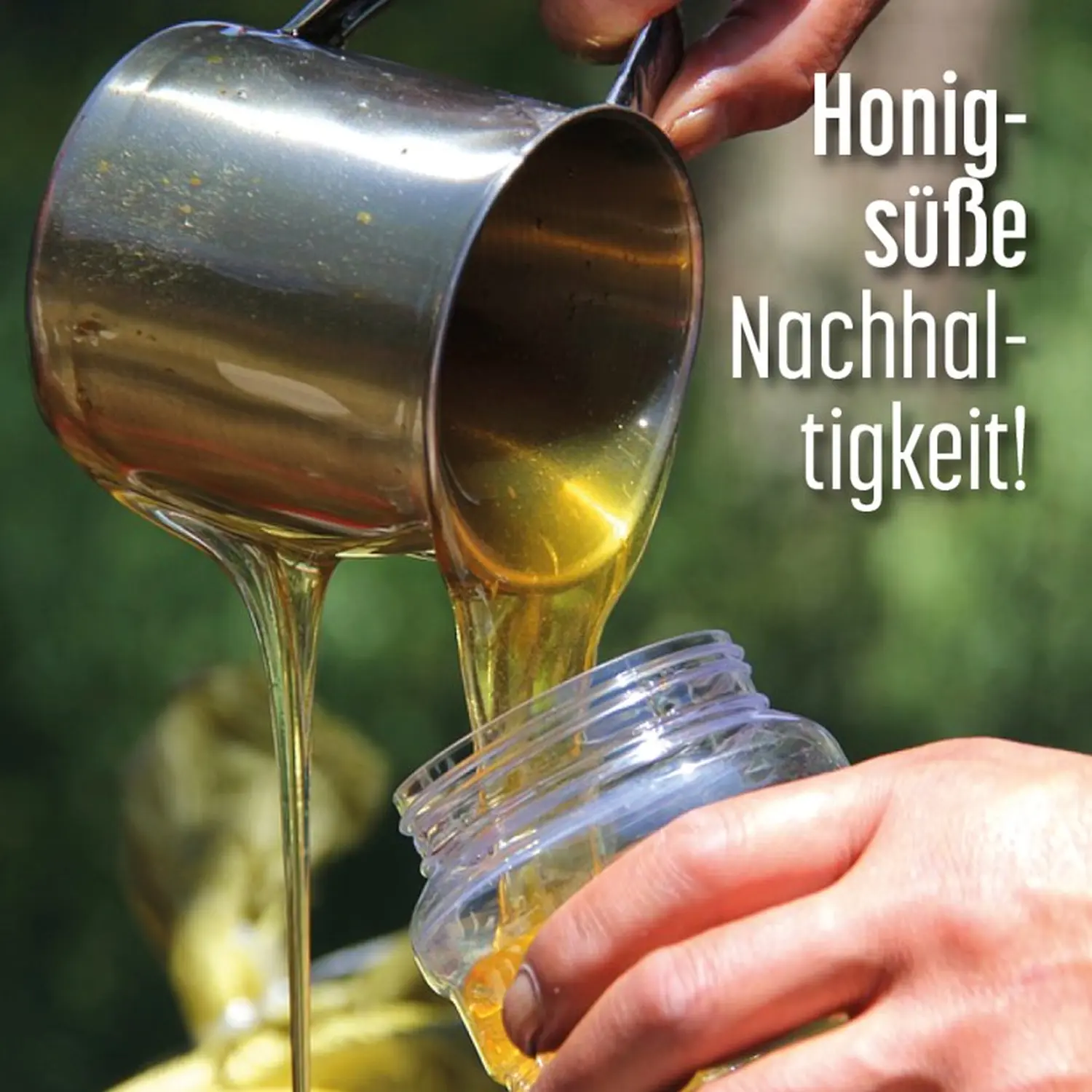Projekt Polen von HHK Hanseatic Honey Accounting GmbH