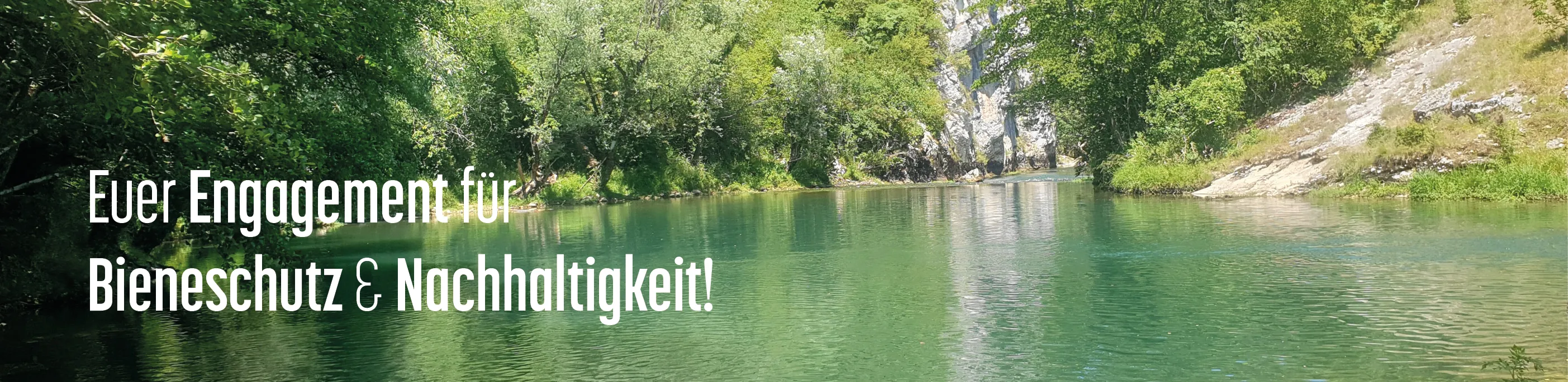 Flussbild von HHK Hanseatic Honey Accounting GmbH