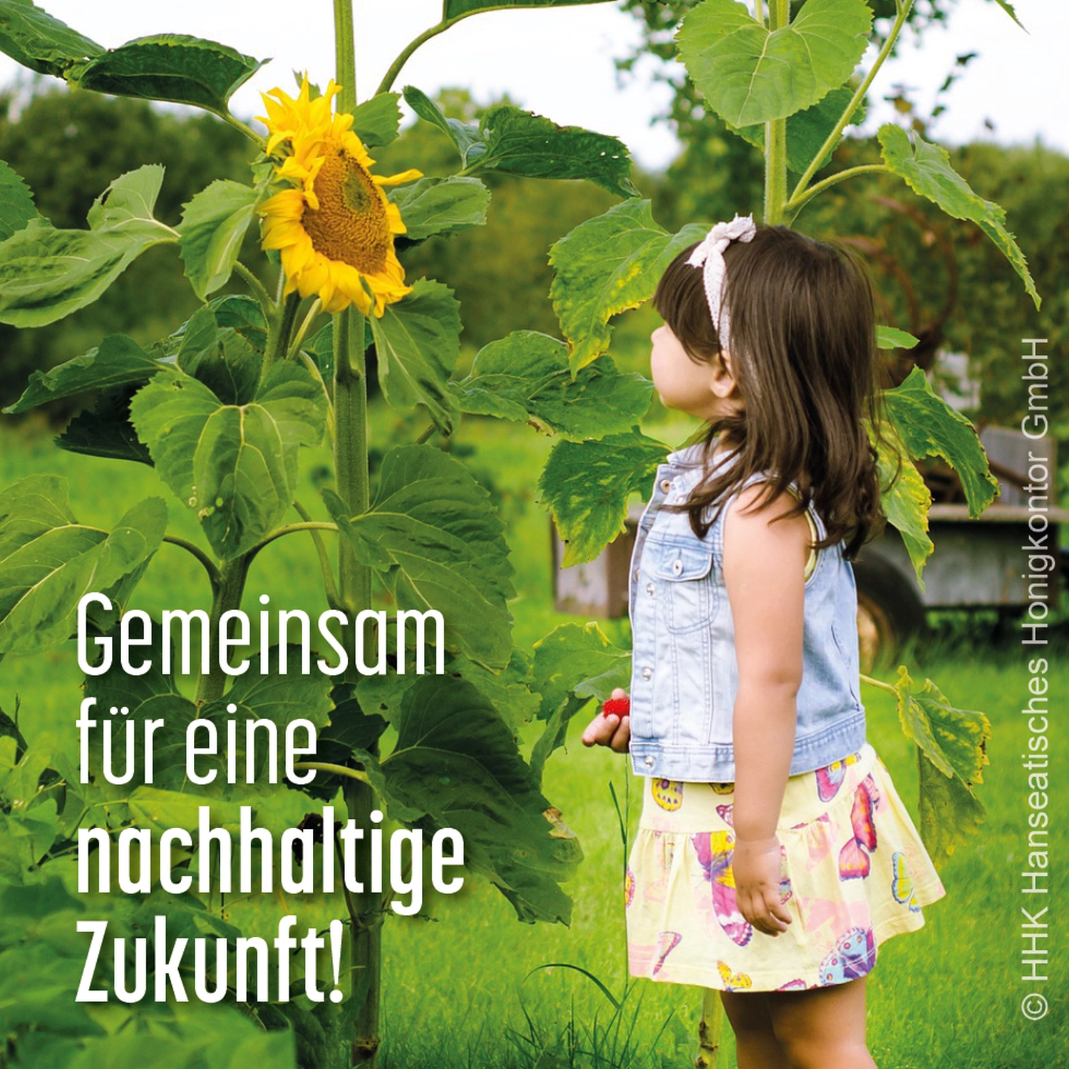 Mädchen beobachtet Sonnenblume  von HHK Hanseatic Honey Accounting GmbH