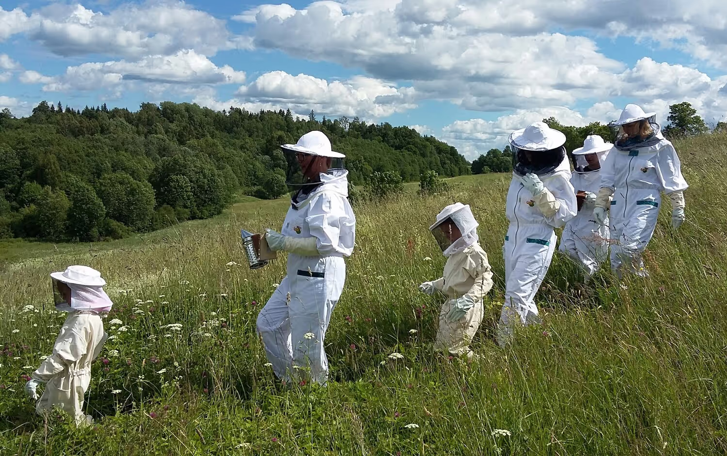 Bienenumzug Eva Naboschni  von HHK Hanseatic Honey Accounting GmbH