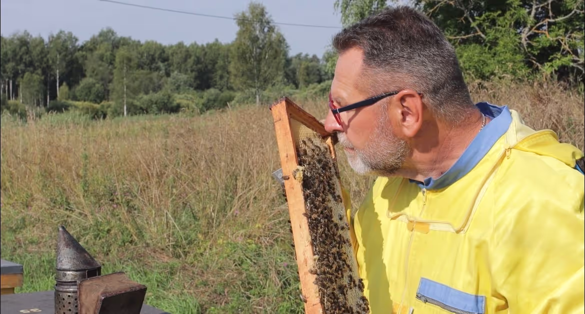 Bienenumzug Eva Naboschni  von HHK Hanseatic Honey Accounting GmbH