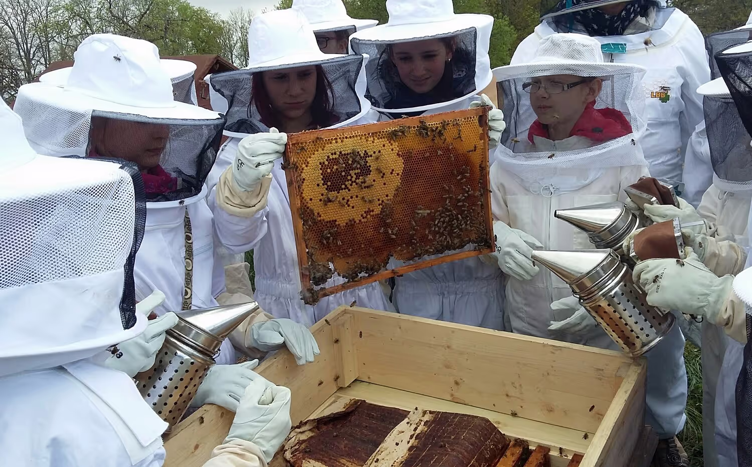 Bienenumzug Eva Naboschni  von HHK Hanseatic Honey Accounting GmbH
