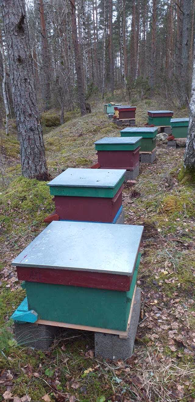 Projekt Estland HHK Hanseatic Honey Accounting GmbH
