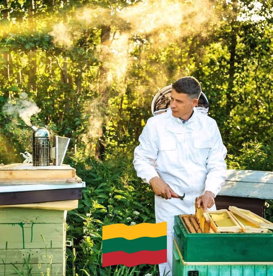 Projekt Litauen HHK Hanseatic Honey Accounting GmbH