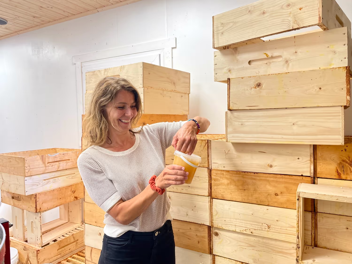 Projekt Litauen HHK Hanseatic Honey Accounting GmbH