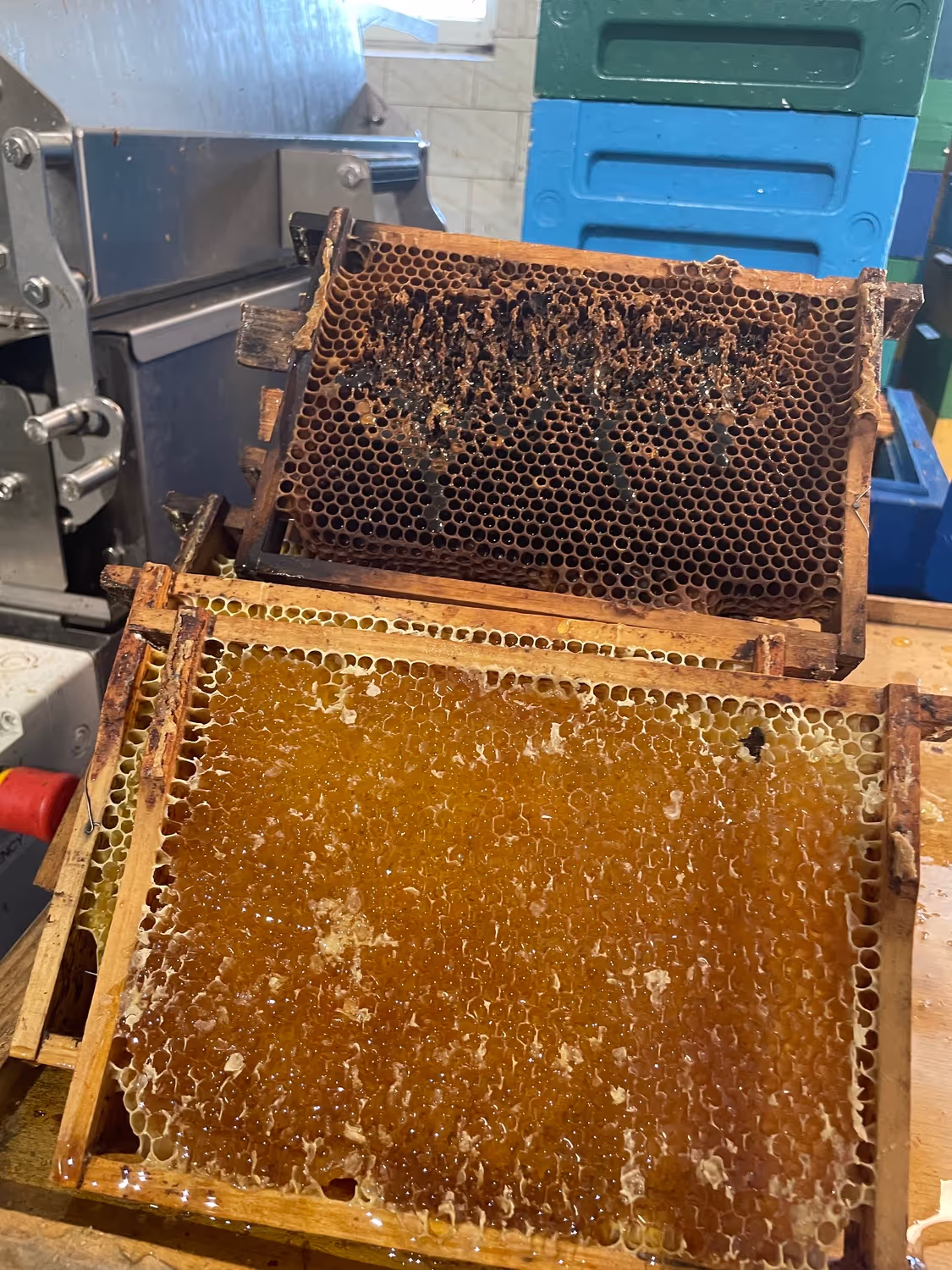 Projekt Litauen HHK Hanseatic Honey Accounting GmbH