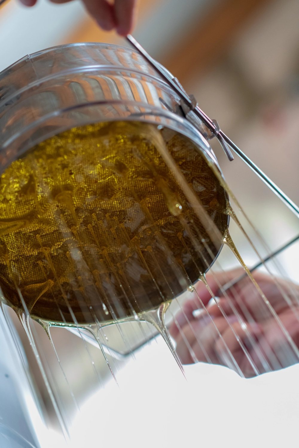 Projekt Litauen HHK Hanseatic Honey Accounting GmbH