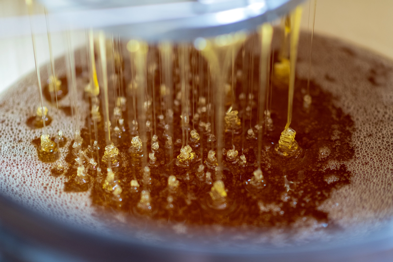 Projekt Litauen HHK Hanseatic Honey Accounting GmbH