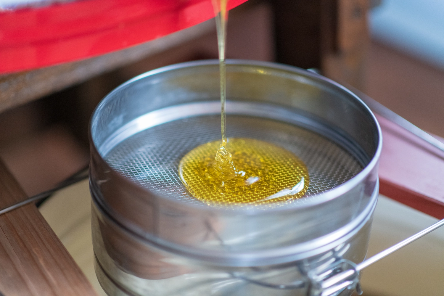 Projekt Litauen HHK Hanseatic Honey Accounting GmbH