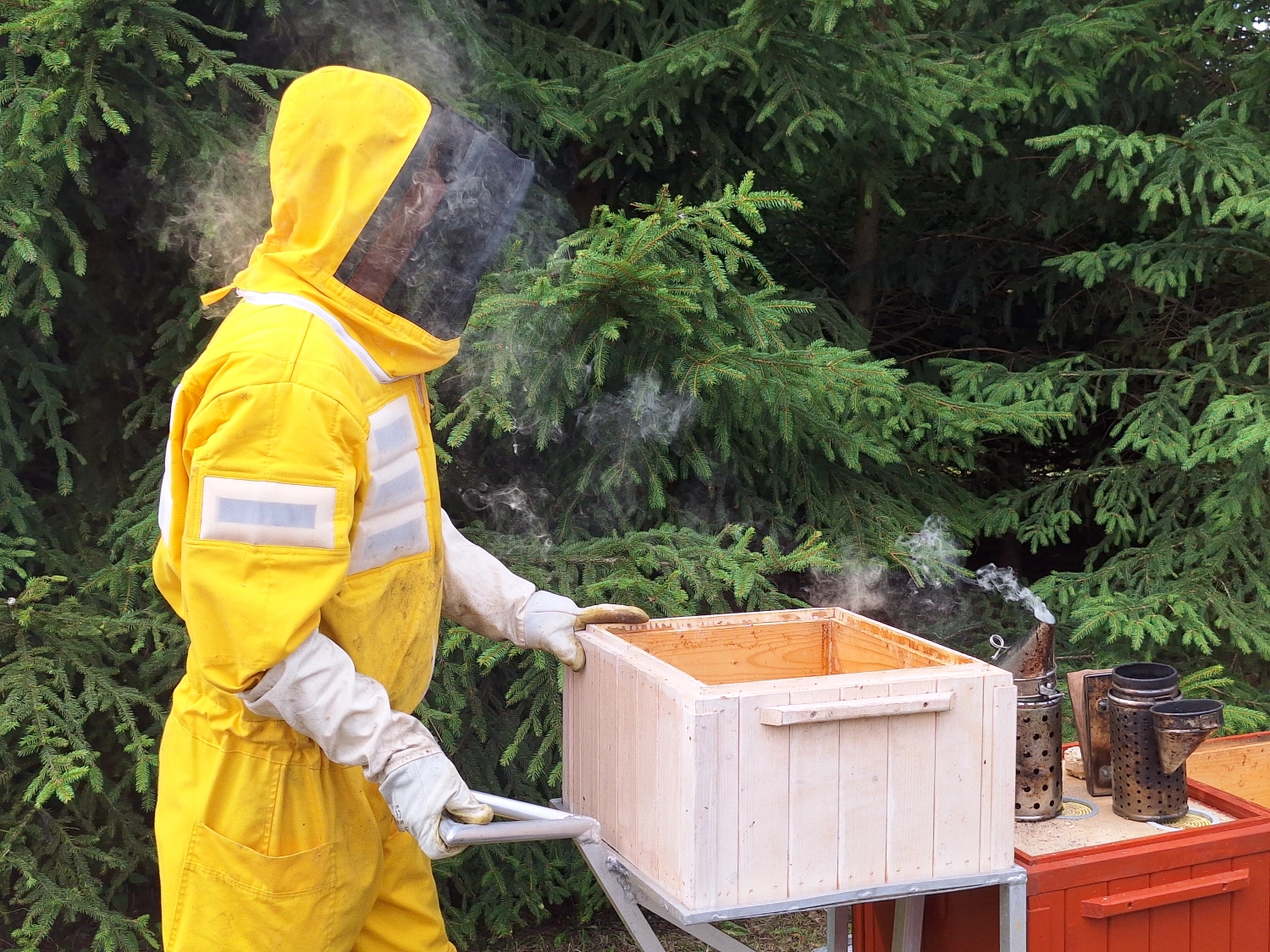 Projekt Litauen HHK Hanseatic Honey Accounting GmbH