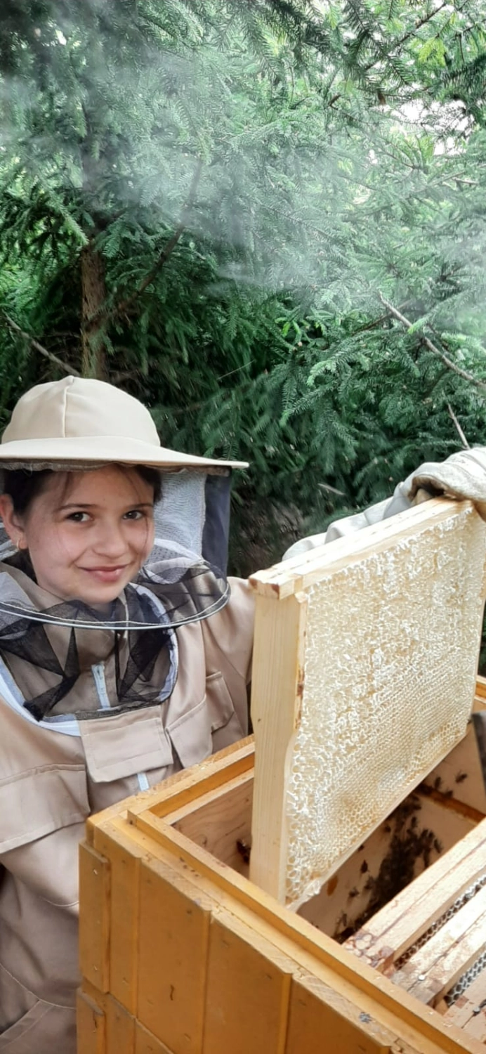 Projekt Litauen HHK Hanseatic Honey Accounting GmbH