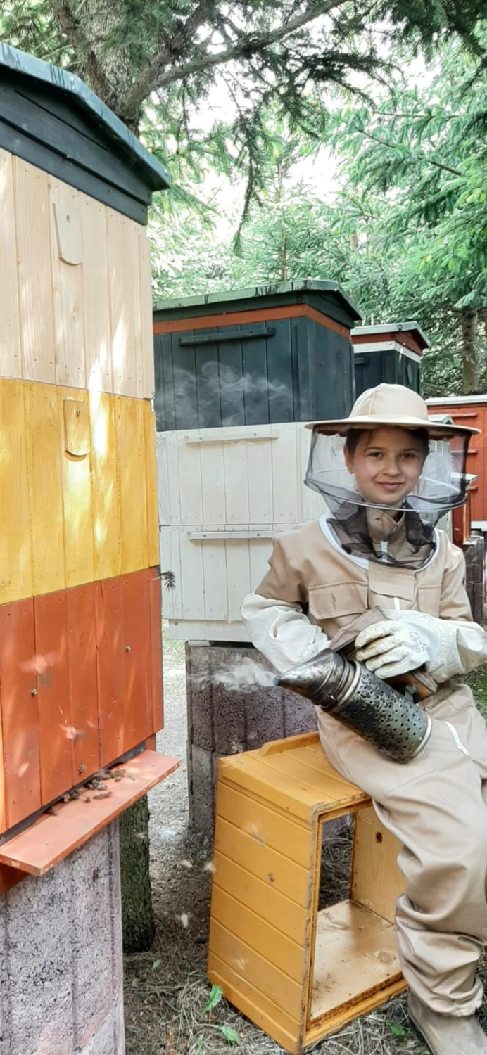 Projekt Litauen HHK Hanseatic Honey Accounting GmbH