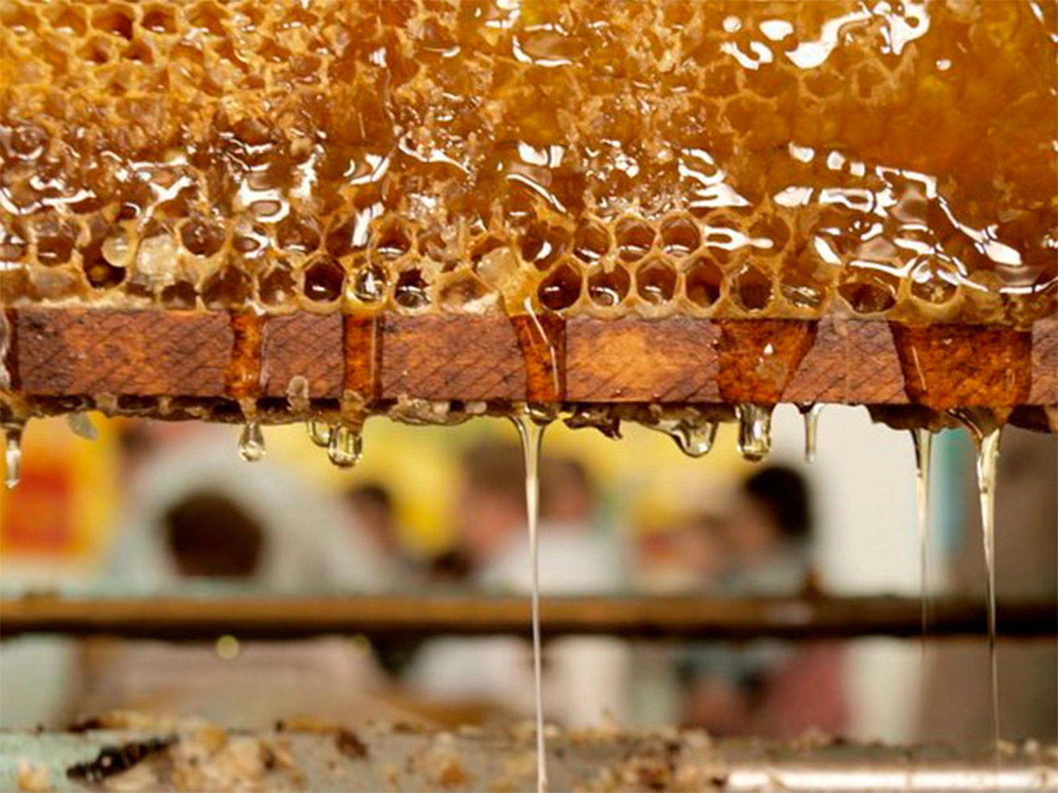 Projekt Litauen HHK Hanseatic Honey Accounting GmbH