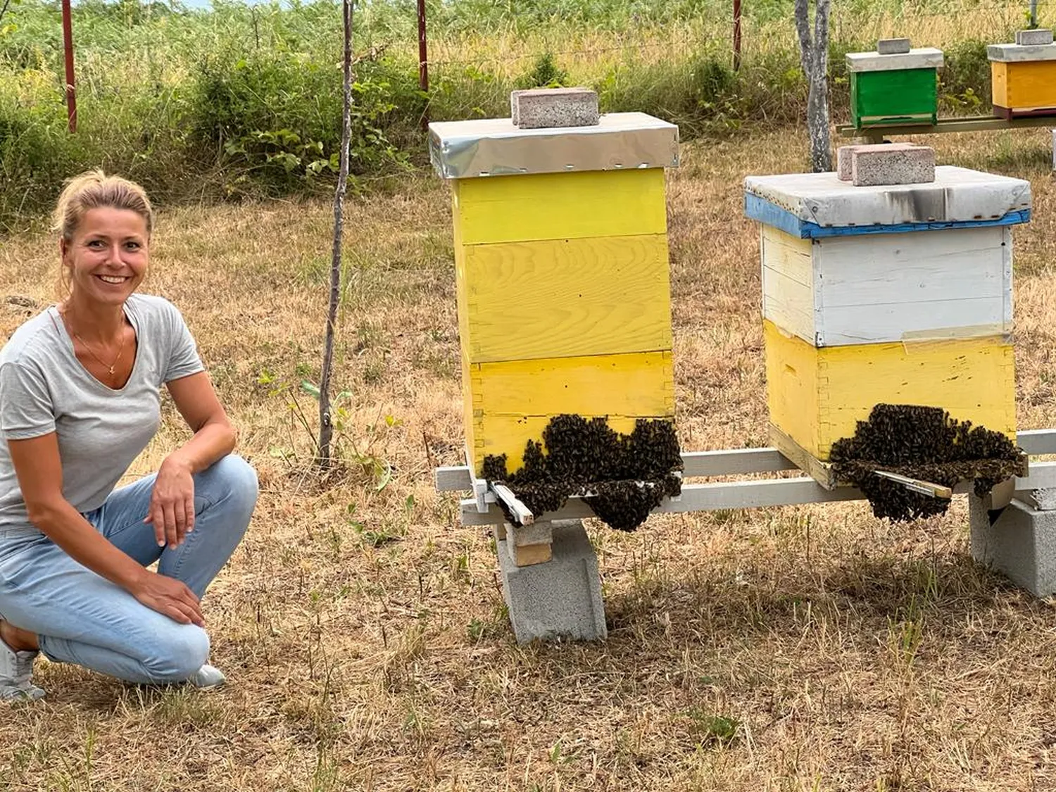 Eva Naboschni Bienen Herzform von HHK Hanseatic Honey Accounting GmbH