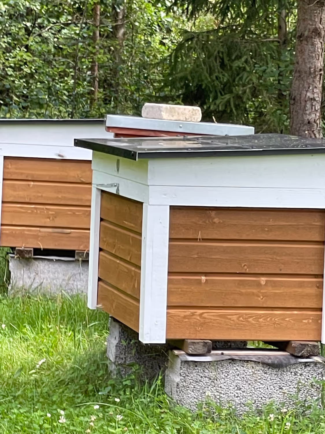 Projekt Estland HHK Hanseatic Honey Accounting GmbH