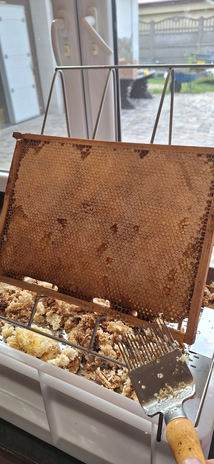 Projekt Litauen HHK Hanseatic Honey Accounting GmbH