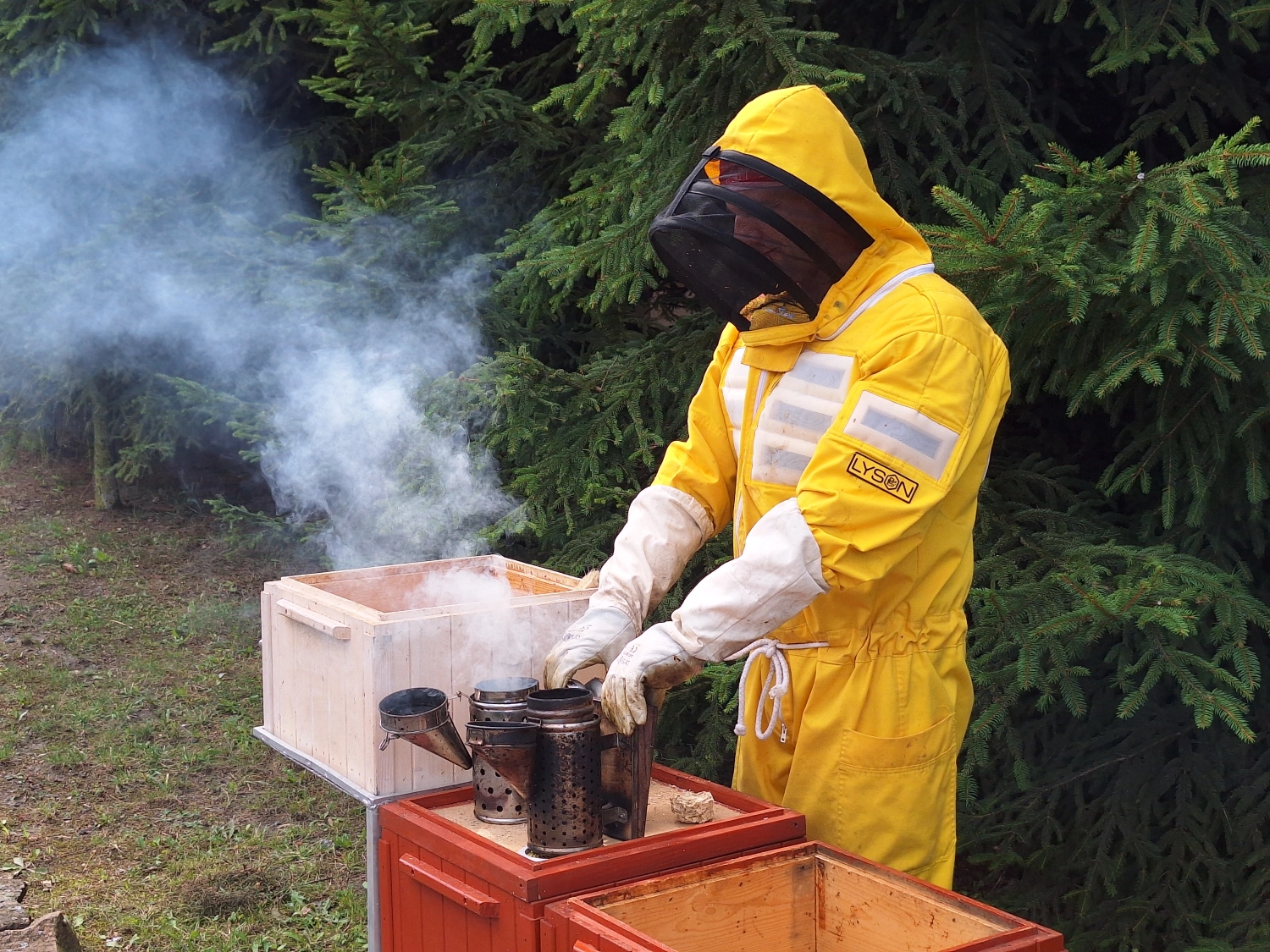 Projekt Litauen HHK Hanseatic Honey Accounting GmbH