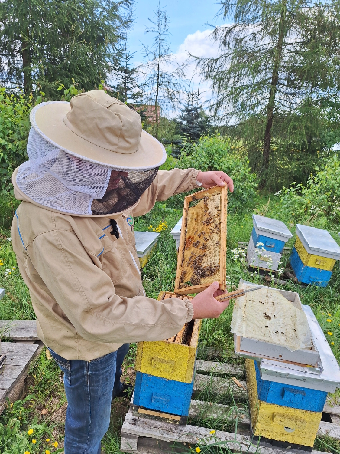 Projekt Litauen HHK Hanseatic Honey Accounting GmbH