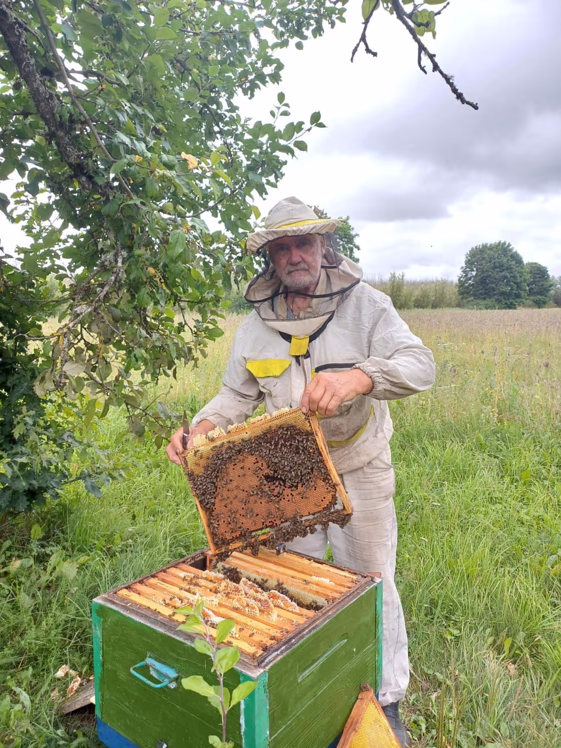 Bienenumzug Eva Naboschni  von HHK Hanseatic Honey Accounting GmbH