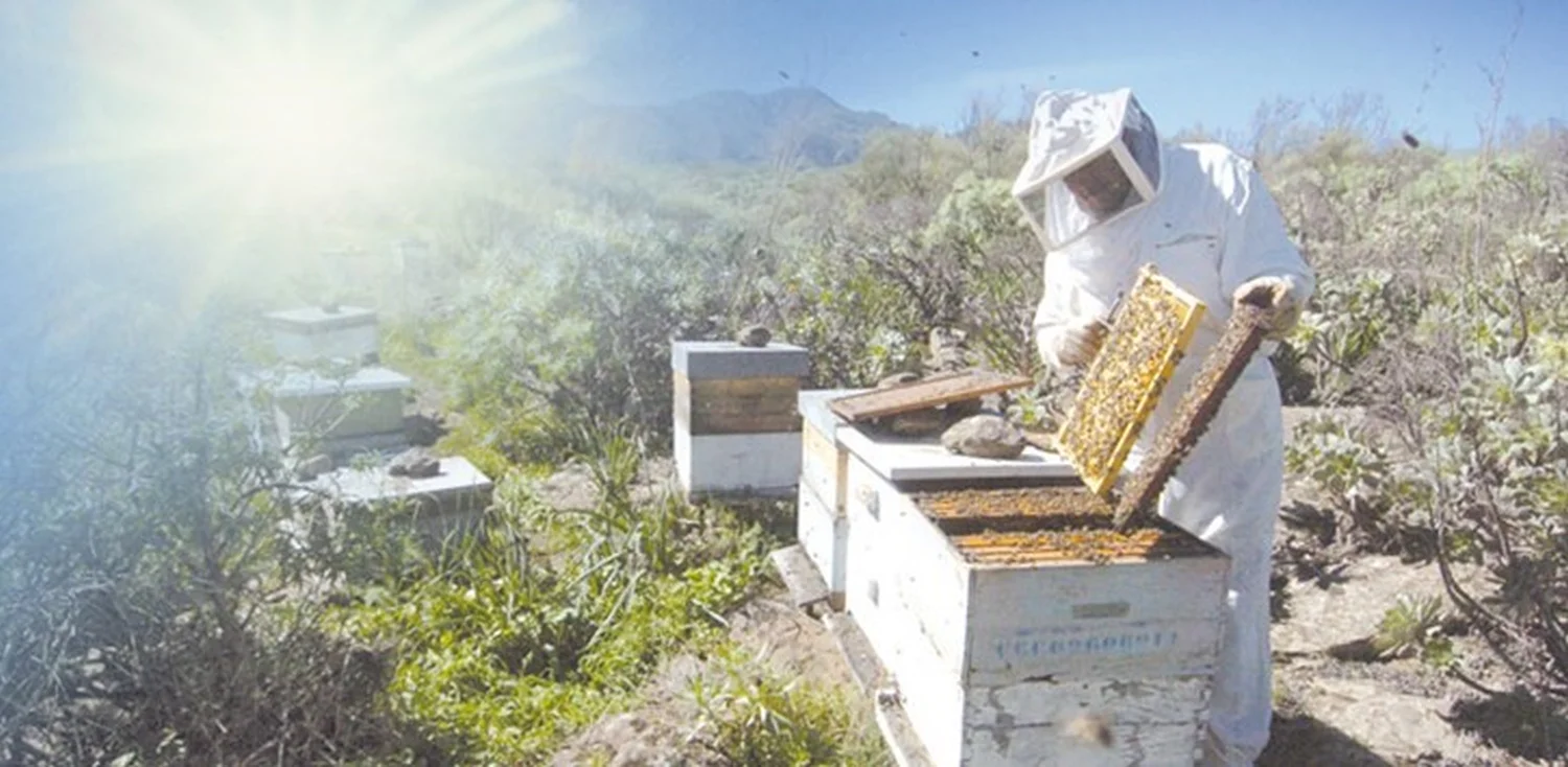 Projekte Spanien von HHK Hanseatic Honey Accounting GmbH