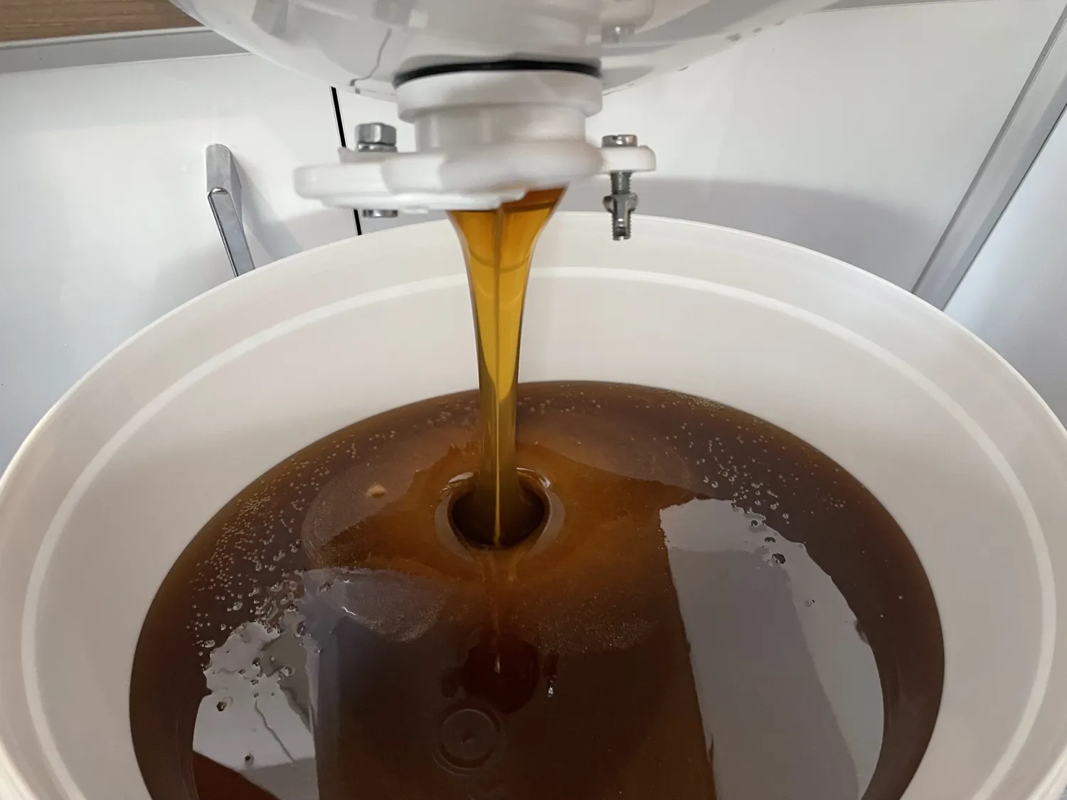 Waldwiesen Honiggold von HHK Hanseatic Honey Accounting GmbH