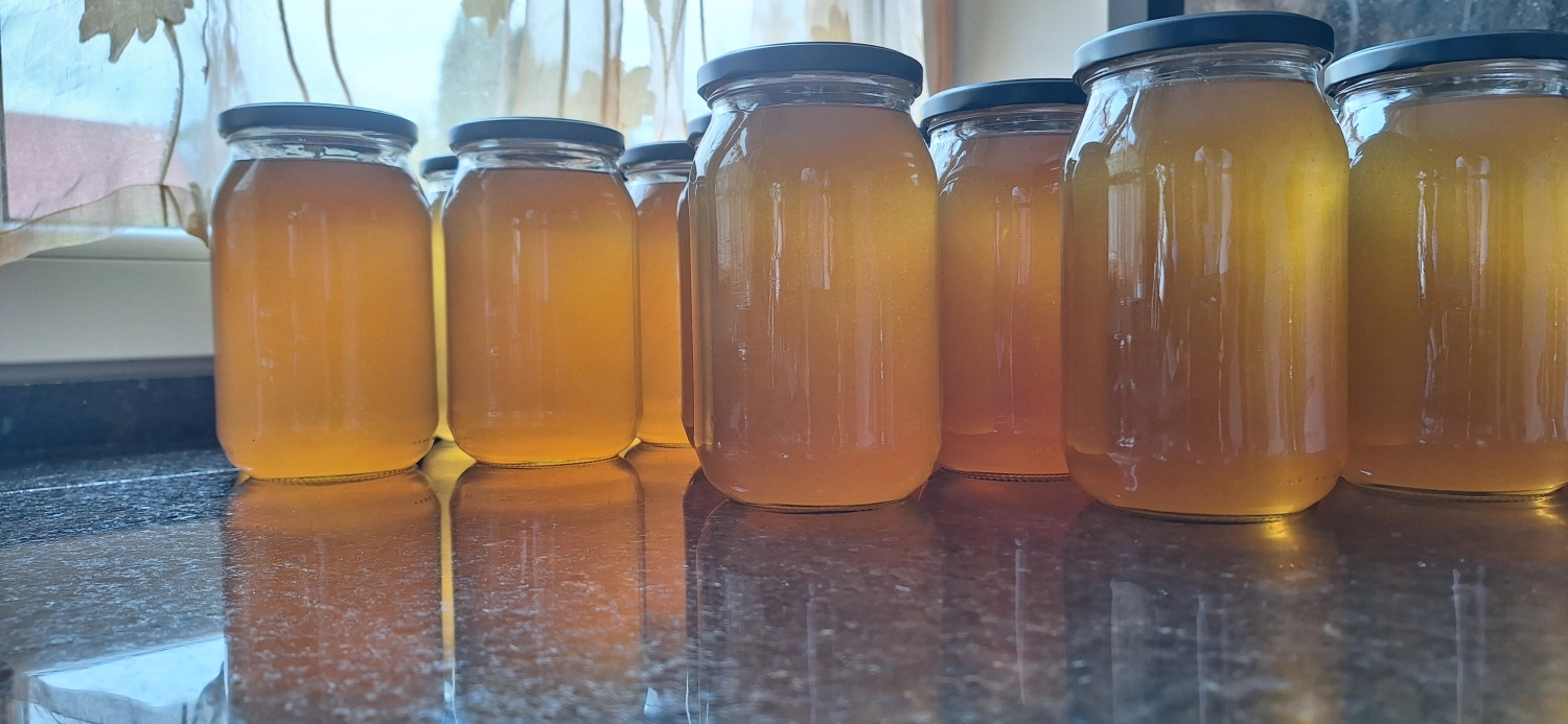 Projekt Litauen HHK Hanseatic Honey Accounting GmbH